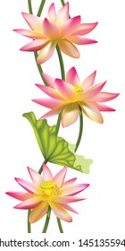 Flowers. Floral background. Seamless pattern. Lotus. Water lily. Petals. Green leaves. Tropical. Exotic.