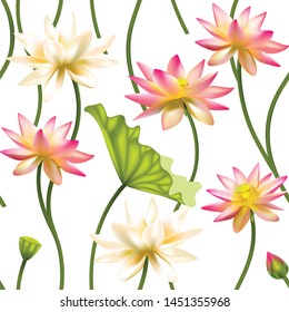 Flowers. Floral background. Seamless pattern. Lotus. Water lily. Petals. Green leaves. 