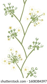 Flowers. Floral background. Seamless pattern. White. Green.