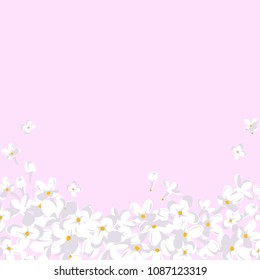 Flowers. Floral background. White lilac. Border. Vector illustration. Small. Buds. Petals.