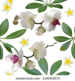 Flowers. Floral background. White orchids. Plumeria. Tropical leaves. Seamless pattern.