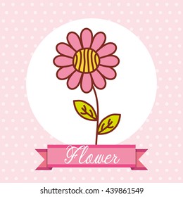 Flowers, floral card 