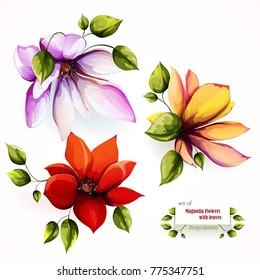 Flowers. Floral collection. Set of three magnolia isolated on white. Hand drawn. vector - stock.