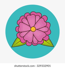 Flowers and floral colorful design, vector illustration