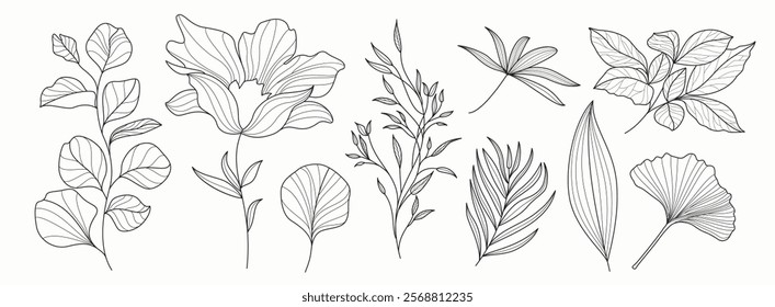 Flowers floral outline drawing clipart set. Spring flower and leaves in hand drawn, lines, pattern, sketch and  flat graphic elements clip art collection. Vector illustration botanical flora and leaf 