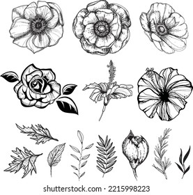 Flowers floral pattern elements rose, hibiscus, anemone hand drawn ink sketch design style 