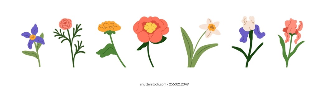 Flowers, floral plants set. Blooming blossoms, gentle spring and summer branches. Natural botanical design elements, rose, daffodil, iris. Flat vector illustration isolated on white background