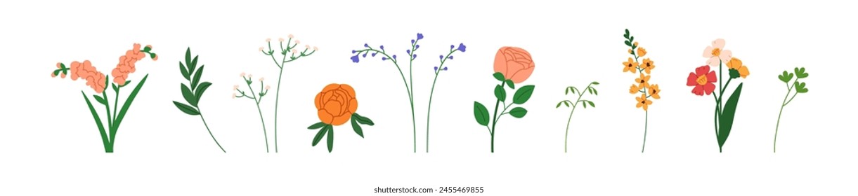 Blumen, Blumengewächse gesetzt. Feld-, Wiesen- und Gartenblüten, Blattäste. Wildblumen, Blüten. Frühlings- und Sommerdekorationen. Botanische flache Vektorillustration isoliert auf weißem Hintergrund