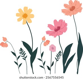 flowers, flower arrangement of bright colors, field plants, banner, coposition, background, illustration