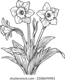 flowers, flower sketch, art flower, black and white sketch, flowers