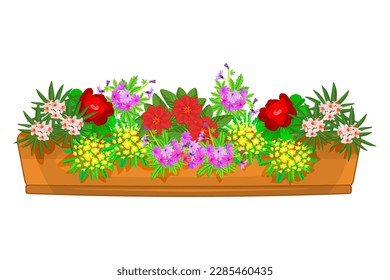 Flowers in flowerpot. Large bush of different plants in elongated flower pot. Houseplant blossom in box for interior room, sill, terrace, garden, windows or balcony to decorate. Vector illustration