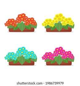 Flowers in flowerpots set vector illustration in flat style, cartoon, isolated.