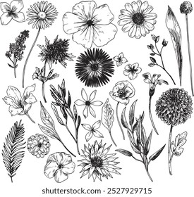 Flowers and foliage - hand drawn realistic vector illustration