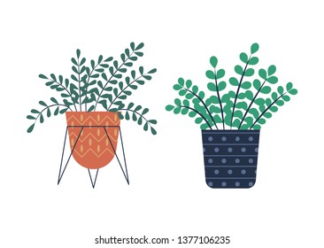 Flowers with foliage vector, set of plants flat style. Isolated houseplant from hothouse, flowerpot with dots, container standing on metal construction