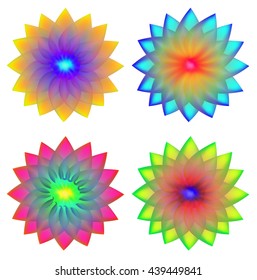 Flowers. Four variants of a transparent brilliant colors for a logo, decoration or accessory.