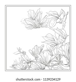 flowers in frame
