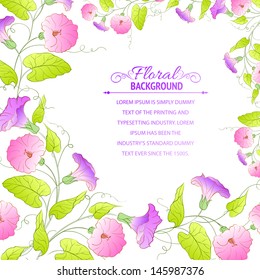 Flowers Frame of bindweed. Vector illustration.