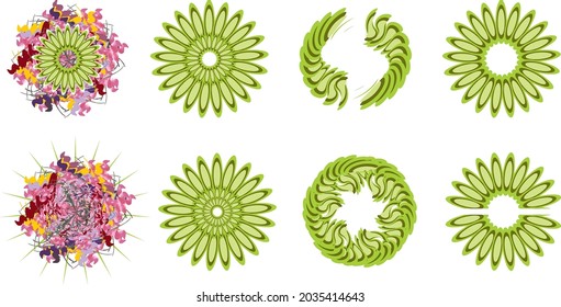 Flowers and frames set in pink and green tones on white for holidays and events. Flowers like a gerbera for tattoo, invitation cards, embroidery, prints on T-shirts, textiles, stikers, wallpaper, etc.