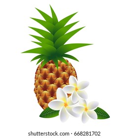 Flowers frangipani (Plumeria) with pineapple, on white background.