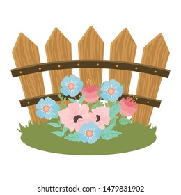 Flowers in front of fence vector design