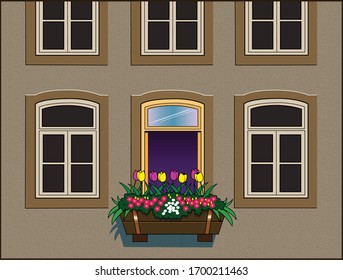 Las flores están en flor bajo una ventana de apartamento.