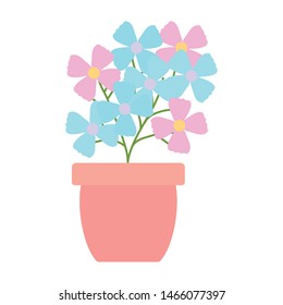 flowers garden in ceramic pot decoration