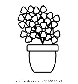 flowers garden in ceramic pot decoration