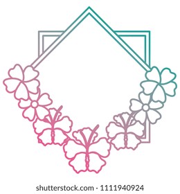 flowers garden decorative frame