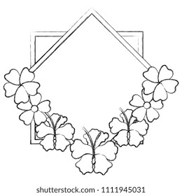 flowers garden decorative frame