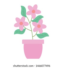 flowers garden and leafs in ceramic pot decoration