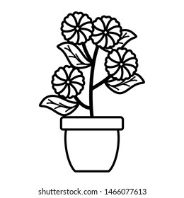 flowers garden and leafs in ceramic pot decoration