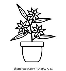 flowers garden and leafs in ceramic pot decoration