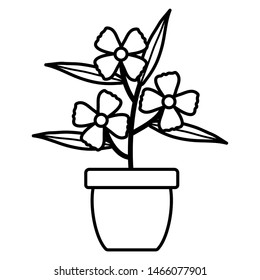 flowers garden and leafs in ceramic pot decoration