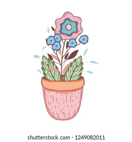 flowers in garden pot
