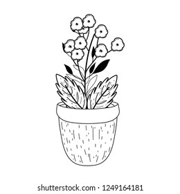flowers in garden pot