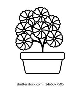 flowers garden in square ceramic pot decoration