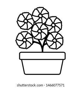 flowers garden in square ceramic pot decoration