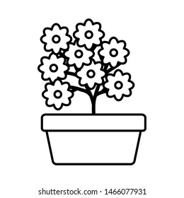 flowers garden in square ceramic pot decoration