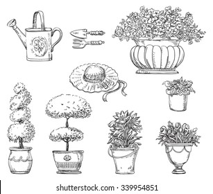 Flowers in garden. Vector set of garden icons  at doodle style
