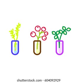 Flowers in glass flasks vector icons. Berries floral line colored vector illustration.
