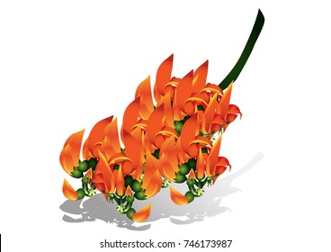 flowers of gold flame vector illustrator