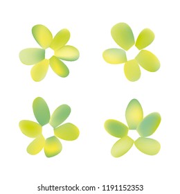 Flowers in gradient mesh, vector illustration. Four isolated abstract colored gradient flowers on white background. Realistic vector illustration for logo, web elements, ornaments, postcards.