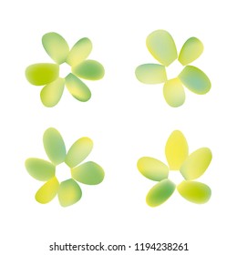 Flowers in gradient mesh, vector illustration. Four isolated abstract colored gradient flowers on white background. Realistic vector illustration for logo, web elements, ornaments, postcards.