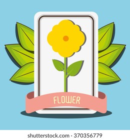 Flowers graphic design