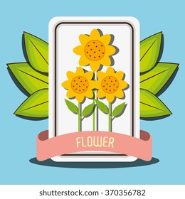 Flowers graphic design
