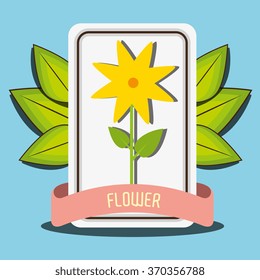 Flowers graphic design