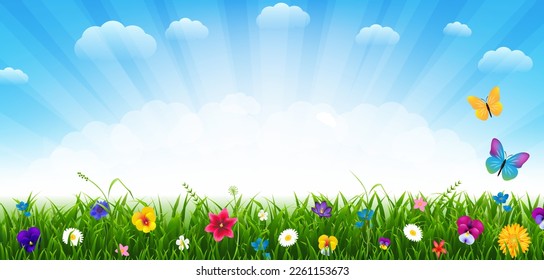 Flowers And Grass Border And Blue Sky With Clouds