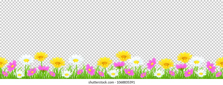 Flowers and grass border, yellow and white chamomile and delicate pink meadow flowers and green grass on transparent background, vector illustration, greeting card decoration element, graphic drawing