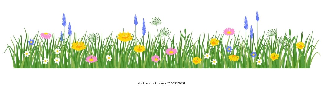 Flowers and grass border, yellow and white chamomile and delicate pink meadow flowers and green grass, vector illustration, spring flowers