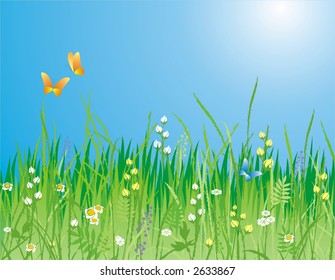 Flowers, grass and butterfly. A beautiful meadow! Ideally for your use